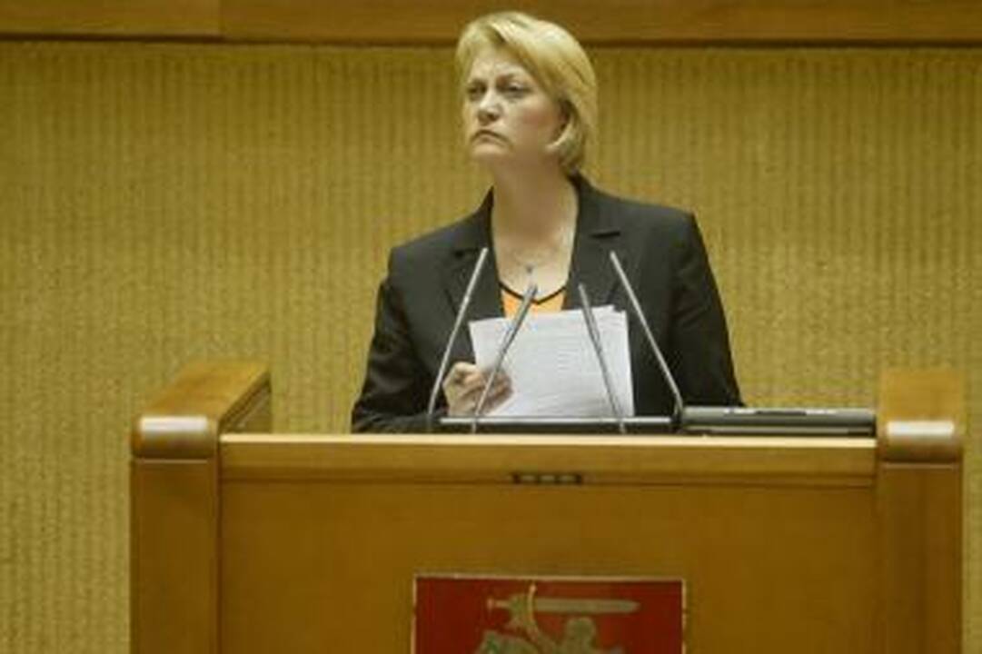 Valstybės kontrolei abejonių sukėlė projektai