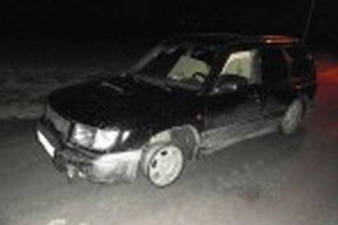 12 darbų, kuriuose menininkai žaidžia su šešėliais