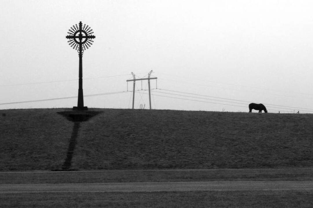 Fotografijų parodoje Klaipėdoje – gyvos žemės mintys