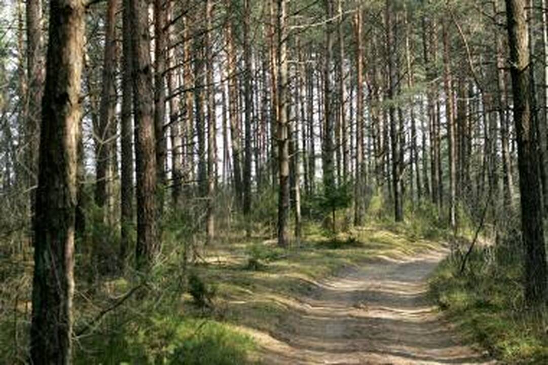 „Mados infekcija“ : antra diena mados gerbėjų nenuvylė