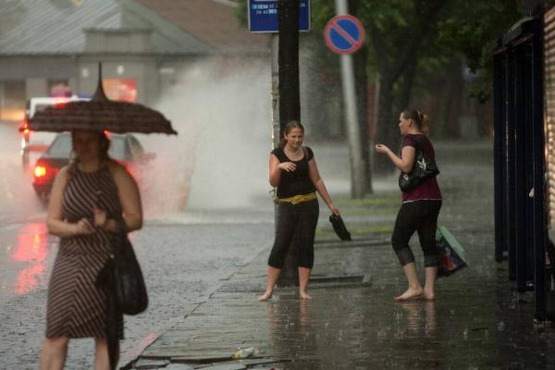 Smarki liūtis Kaune skandino miestą (papildyta)
