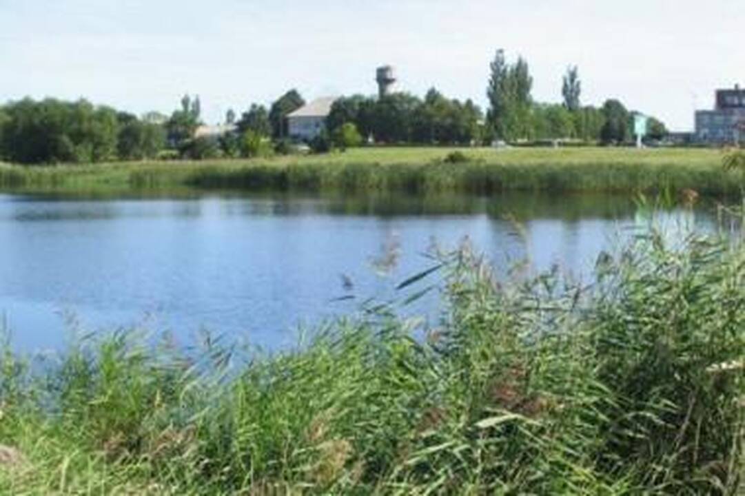 Trinyčių tvenkinyje rastas negyvas vyras (papildyta)