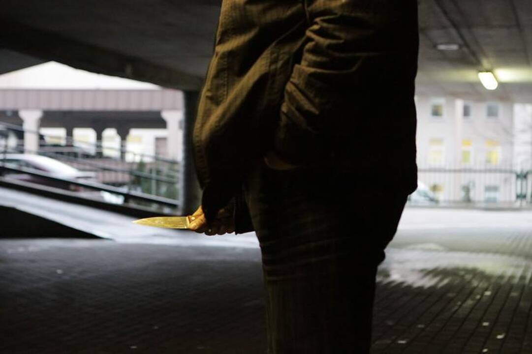 Vagis peiliu sužalojo apsaugos darbuotoją
