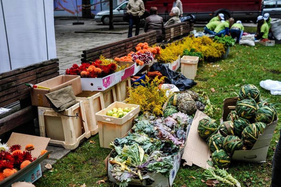 Rudens mugėje – dobilų alus, daržovių kilimai ir šakočio dalybos