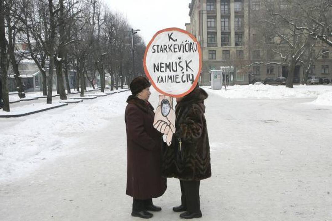 V.Šustausko mitinge - 10 dalyvių ir konservatorių kritika