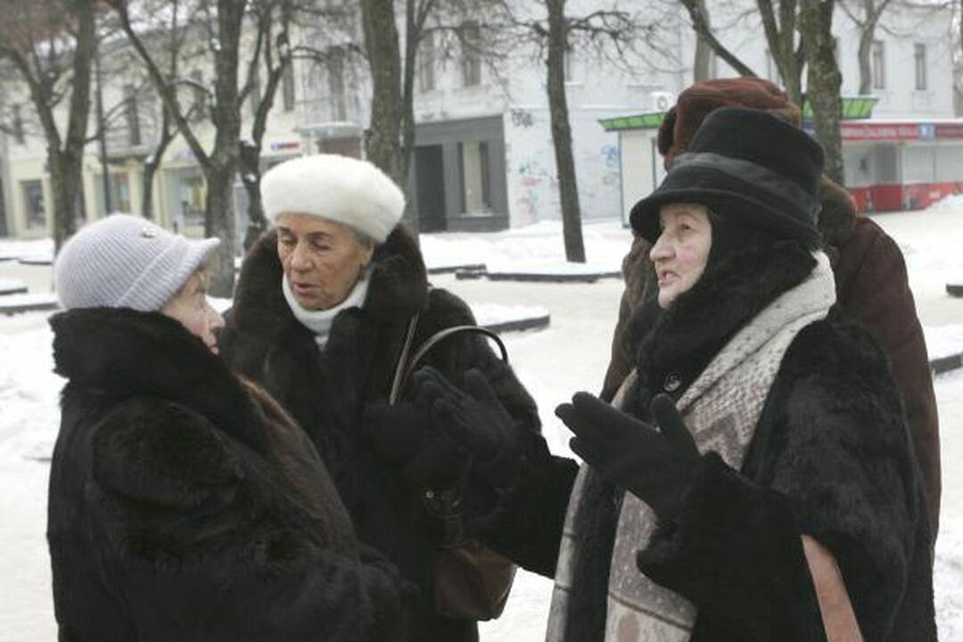 V.Šustausko mitinge - 10 dalyvių ir konservatorių kritika