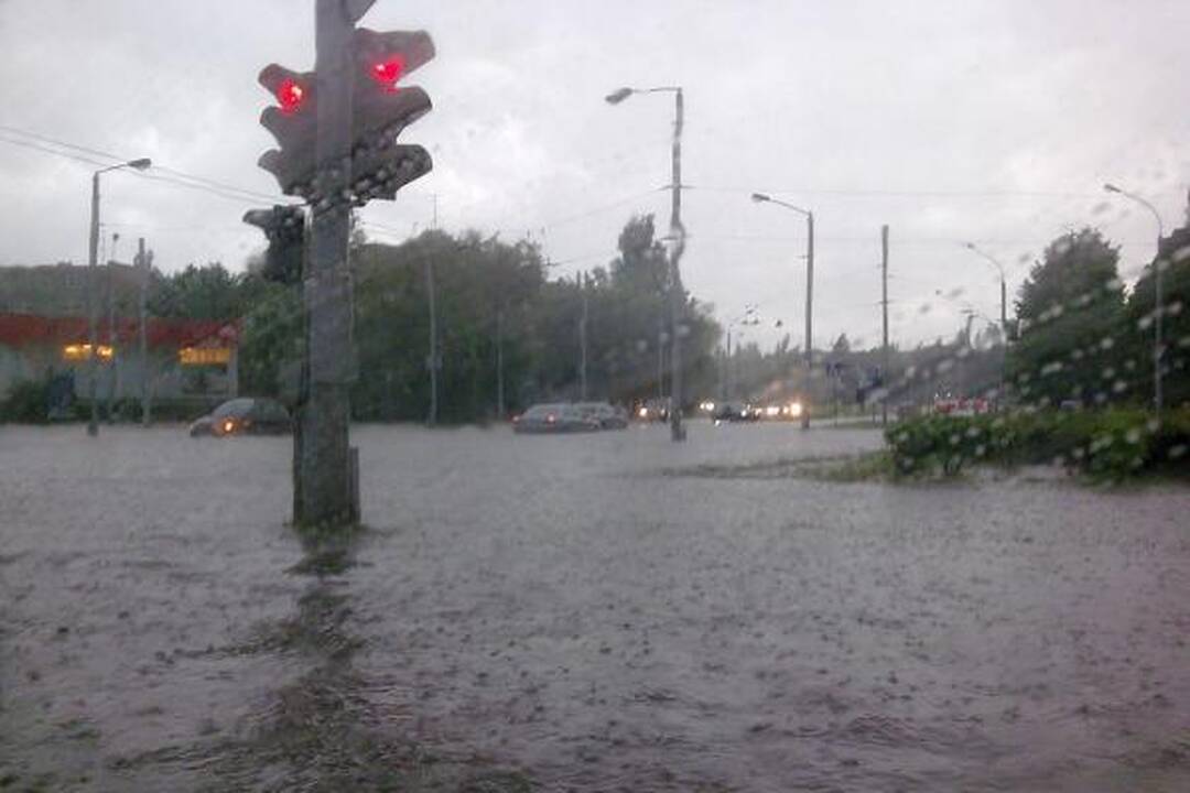 Smarki liūtis Kaune skandino miestą (papildyta)
