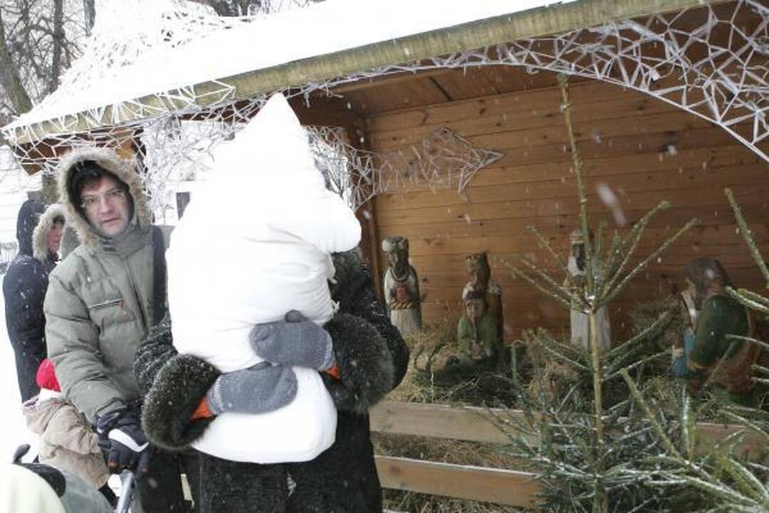 Prakartėlėje Rotušės aikštėje apsigyveno avytės