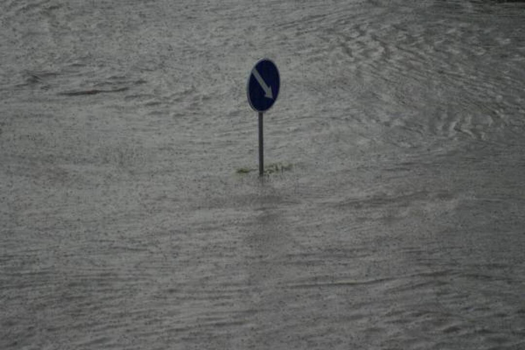 Smarki liūtis Kaune skandino miestą (papildyta)