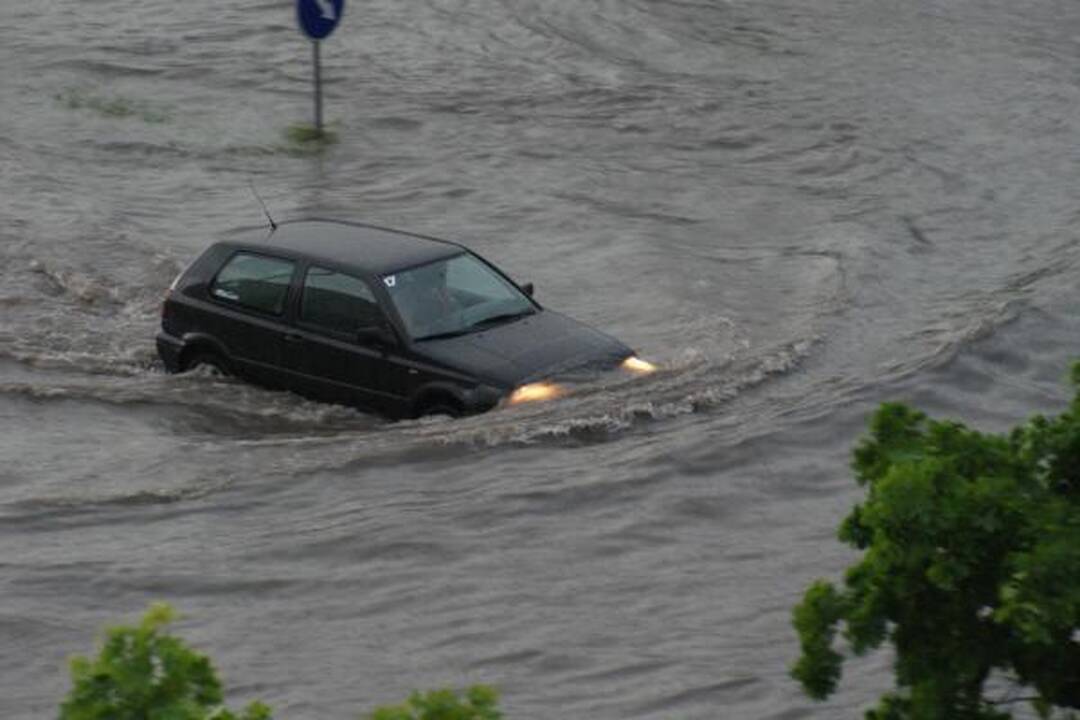 Smarki liūtis Kaune skandino miestą (papildyta)