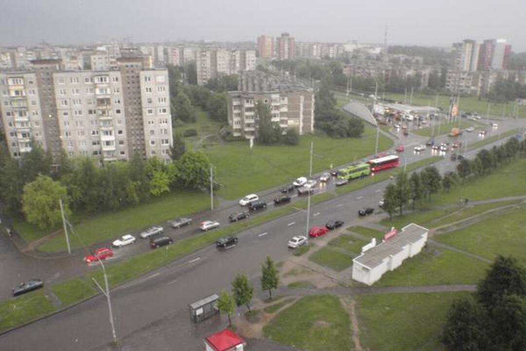 Smarki liūtis Kaune skandino miestą (papildyta)