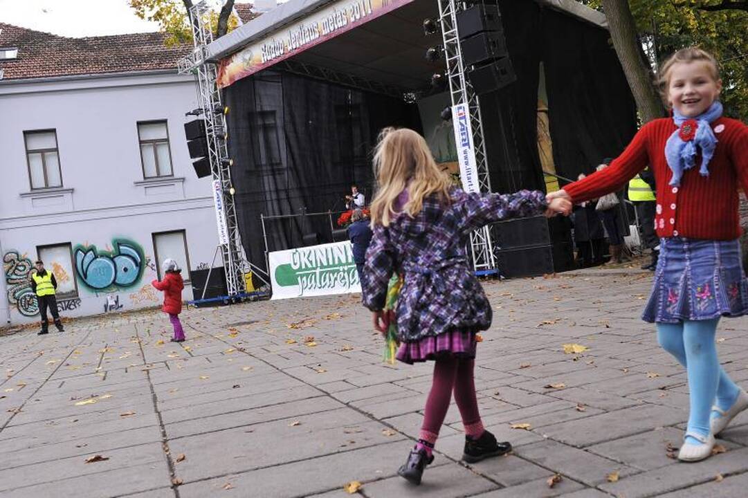 Rudens derliaus šventė: pirkėjai taupo šildymo sezonui