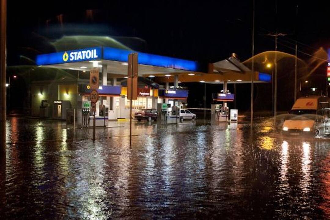 Smarki liūtis Kaune skandino miestą (papildyta)
