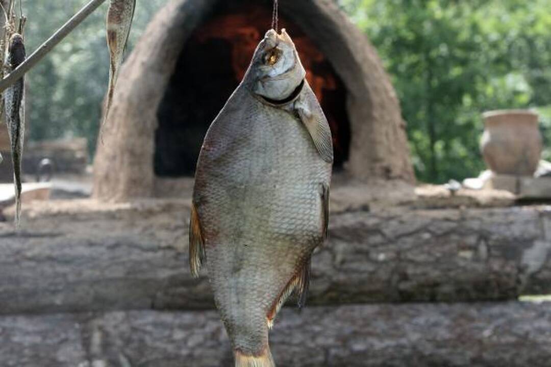 Kernavėje šurmuliuoja Gyvosios archeologijos dienos