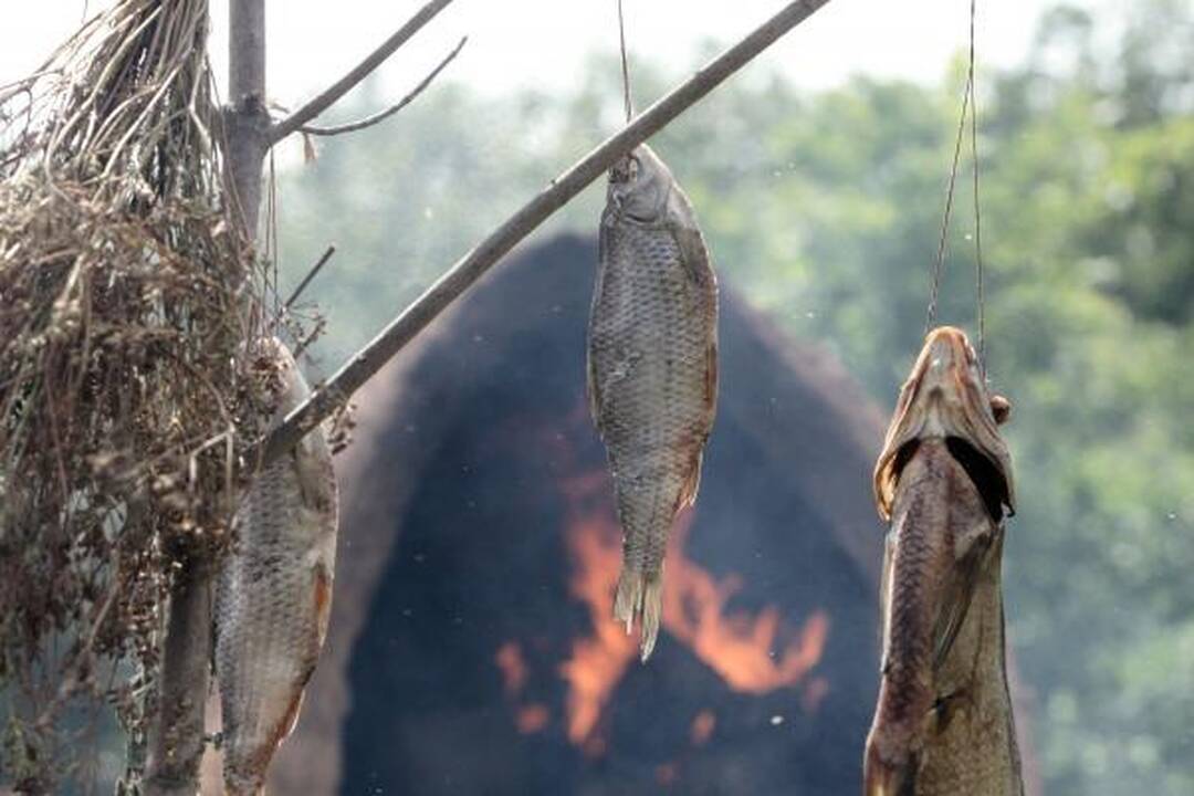 Kernavėje šurmuliuoja Gyvosios archeologijos dienos
