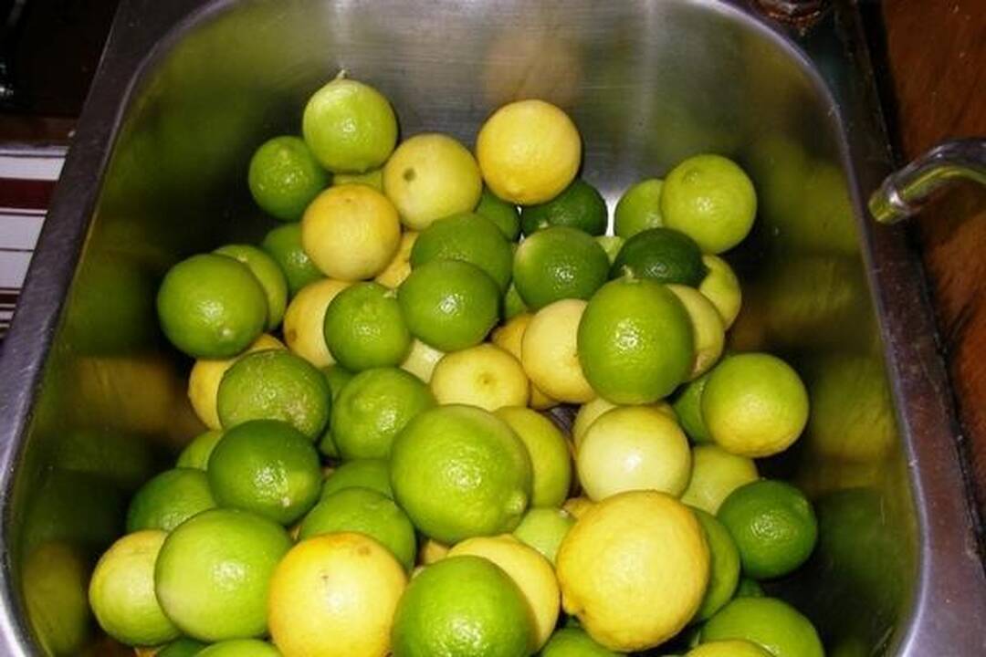 „Ragainės II“ įgulos įspūdžiai iš Prancūzijos Polinezijos