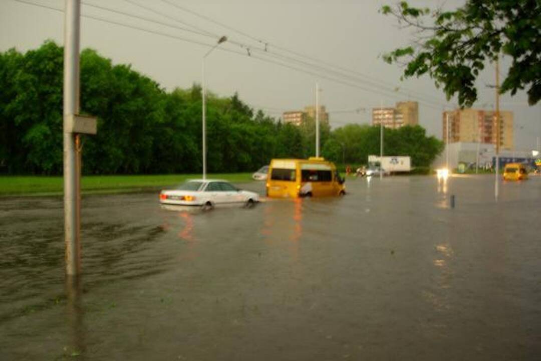 Smarki liūtis Kaune skandino miestą (papildyta)