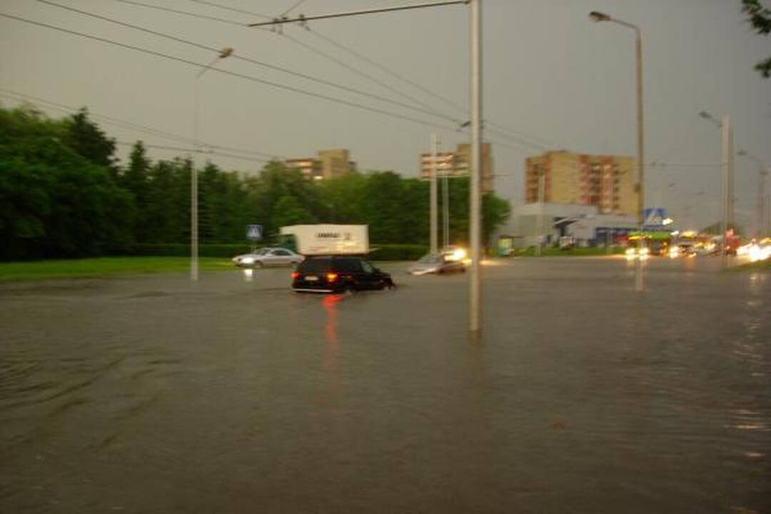 Smarki liūtis Kaune skandino miestą (papildyta)