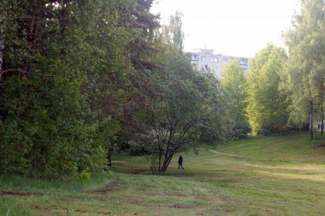 Vilniuje, Pasakų parke, pedofilas išprievartavo mergaitę (papildyta)