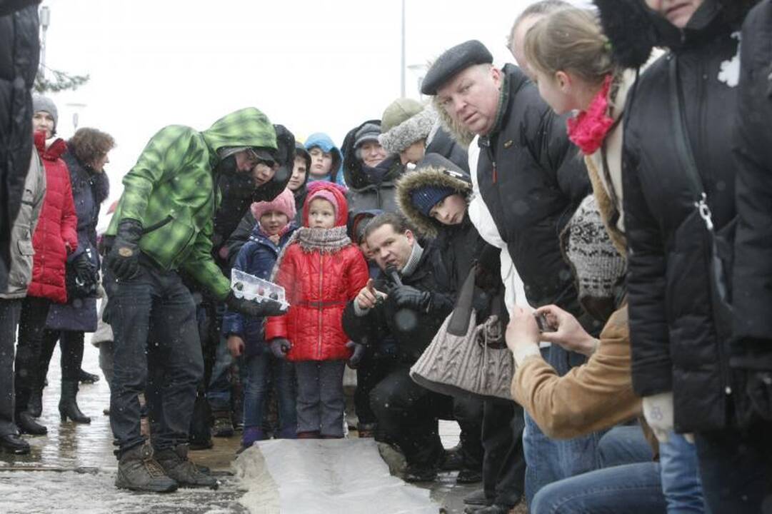 Velykų linksmybėms Palangoje sutrukdė sniegas 