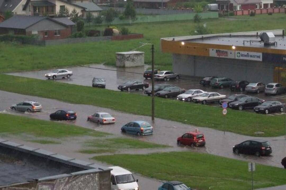 Smarki liūtis Kaune skandino miestą (papildyta)
