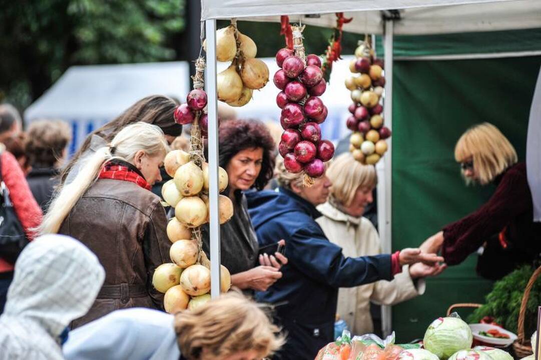 Rudens mugėje – dobilų alus, daržovių kilimai ir šakočio dalybos