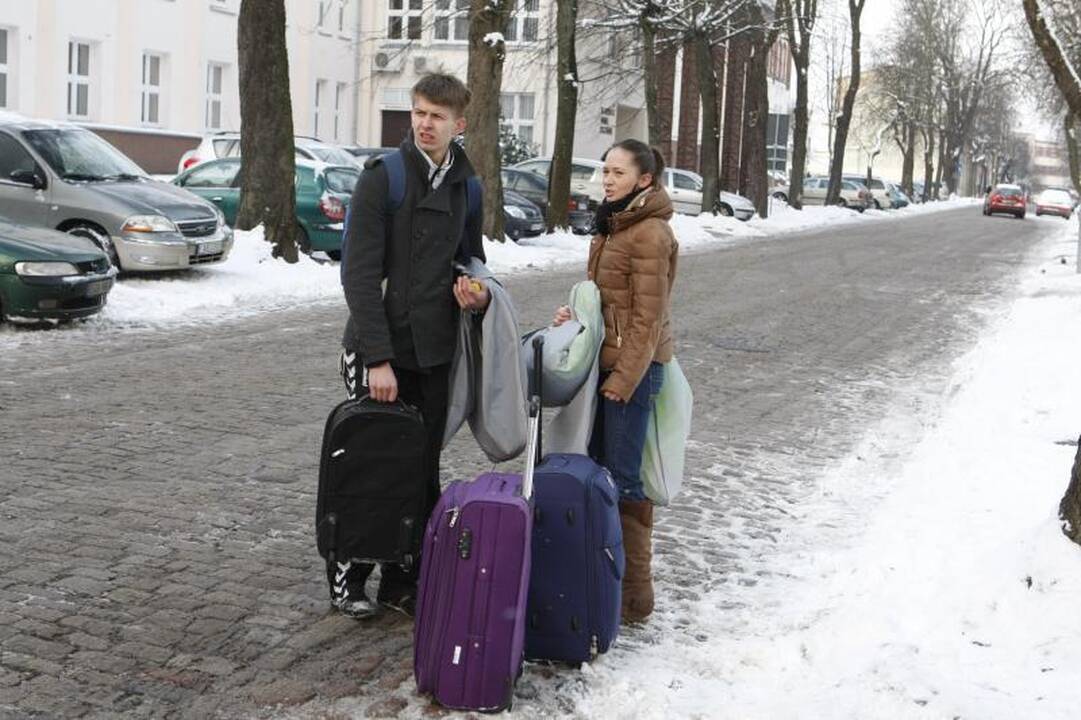 Vos grįžę „Žuvėdros“ šokėjai vėl kibs į darbus