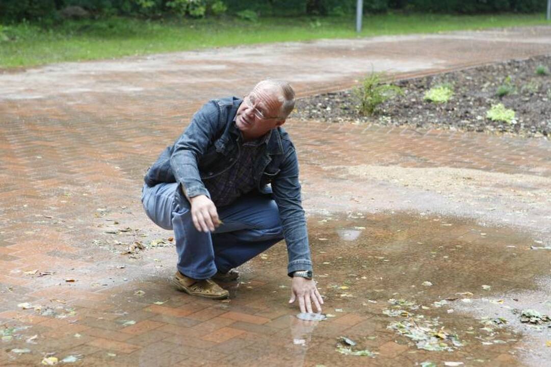 Klaipėdos poilsio parke – vandalų baimė