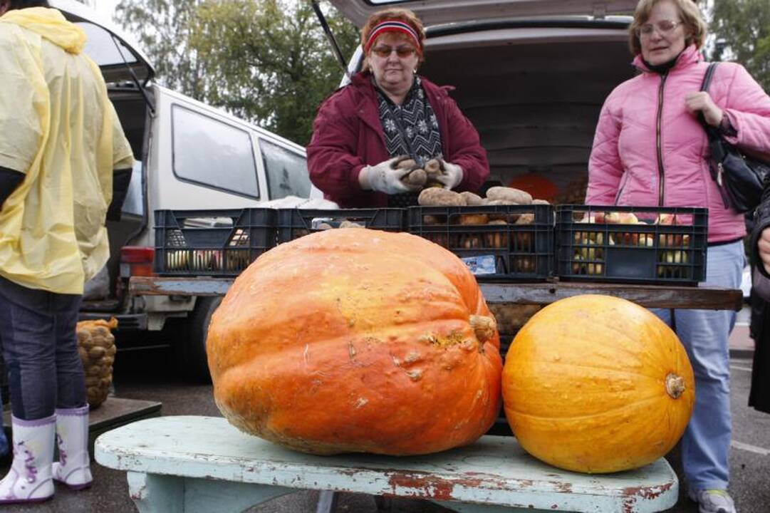 Į Palangos turgaus šventę savaitgalį viliojo atrakcijos