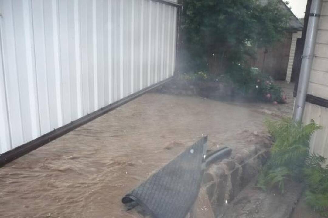 Smarki liūtis Kaune skandino miestą (papildyta)