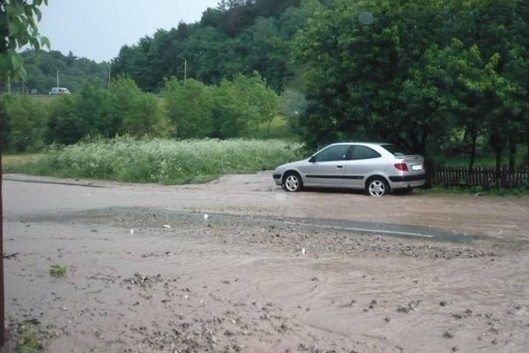 Smarki liūtis Kaune skandino miestą (papildyta)