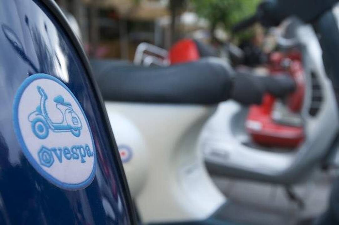 Vespų sezonas atidarytas