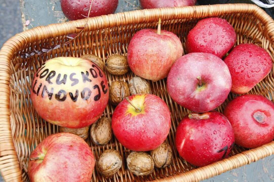 Į Palangos turgaus šventę savaitgalį viliojo atrakcijos
