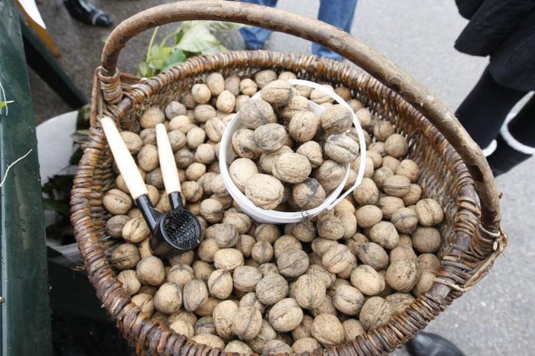 Į Palangos turgaus šventę savaitgalį viliojo atrakcijos