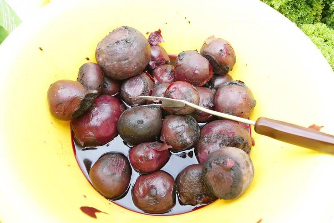 Į Palangos turgaus šventę savaitgalį viliojo atrakcijos