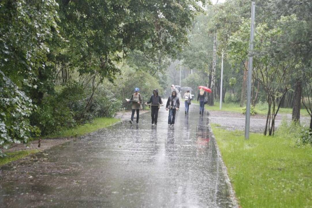 Klaipėdos poilsio parke – vandalų baimė