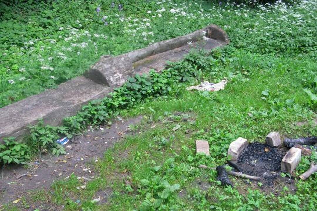 A.Mickevičiaus slėnyje - kaip kokiame „Tvin Pykse“