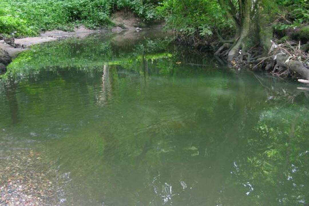 A.Mickevičiaus slėnyje - kaip kokiame „Tvin Pykse“