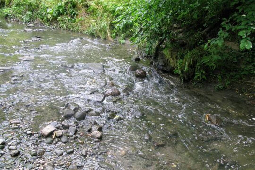 A.Mickevičiaus slėnyje - kaip kokiame „Tvin Pykse“