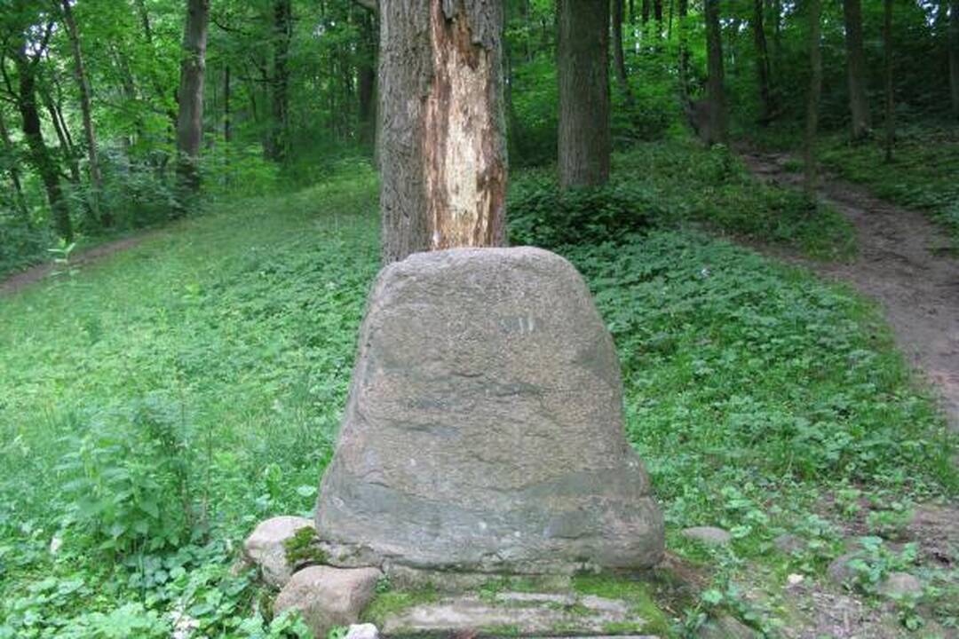 A.Mickevičiaus slėnyje - kaip kokiame „Tvin Pykse“