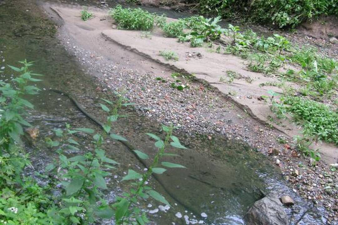 A.Mickevičiaus slėnyje - kaip kokiame „Tvin Pykse“