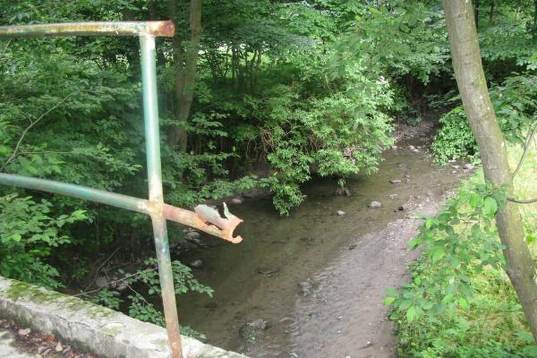 A.Mickevičiaus slėnyje - kaip kokiame „Tvin Pykse“