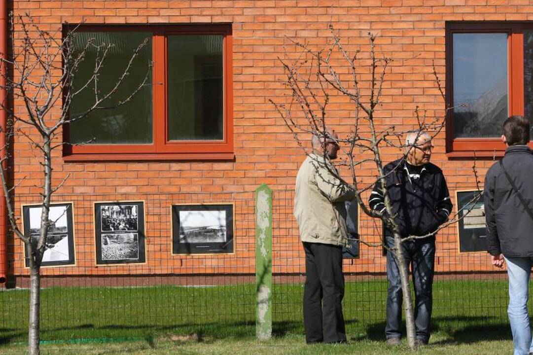Kultūros ministerija – prieš menininkų pasirodymus Garliavoje
