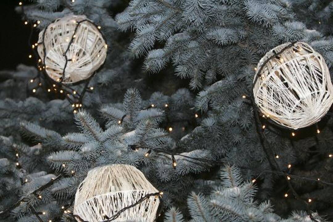 Kaune Kalėdas pranašauja dar dvi miesto eglutės