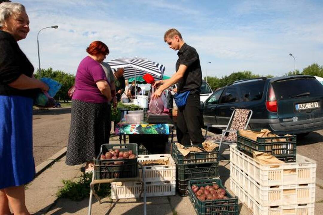Turgaus pirkėjų krepšeliai: mėsą nurungia daržovės ir uogos