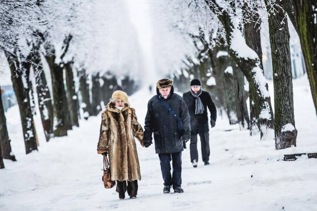 Kaune gyventojų – mažiau, o valdininkų armija padidėjo
