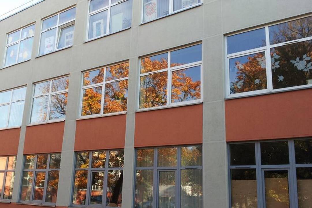 Klaipėdoje „tebelyja“ negyvais paukšteliais