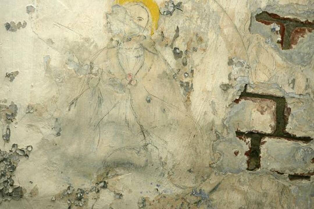 VII fortas
