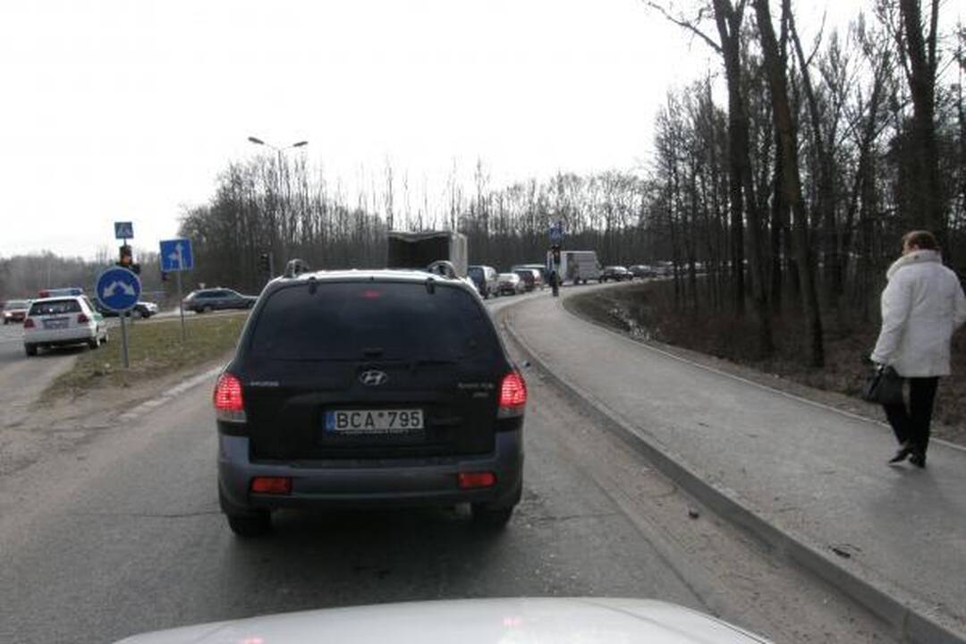 Prasidėjo paroda „Ką pasėsi... 2009“