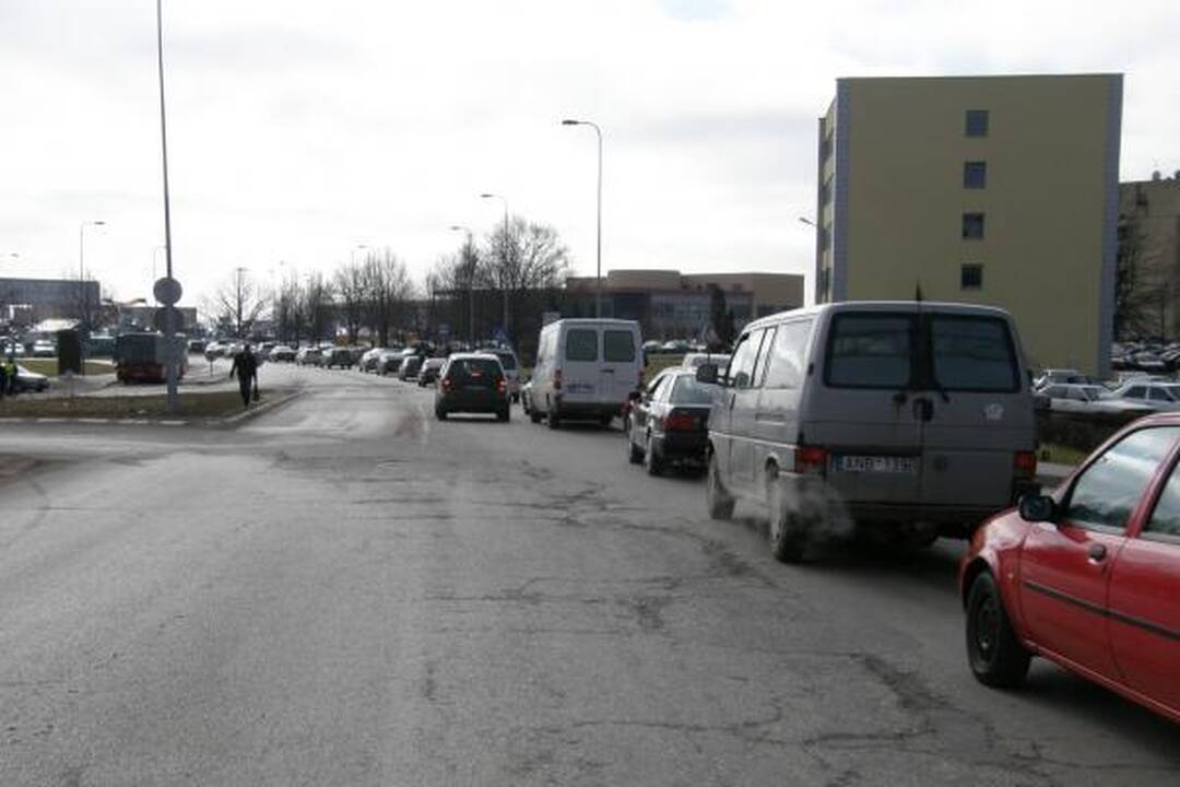Prasidėjo paroda „Ką pasėsi... 2009“